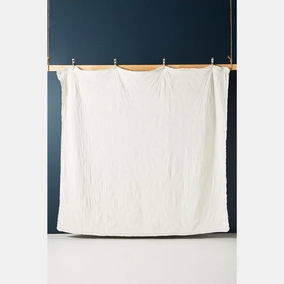 ‼️NOT FOR SALE‼️Anthropologie Rivulets Quilt